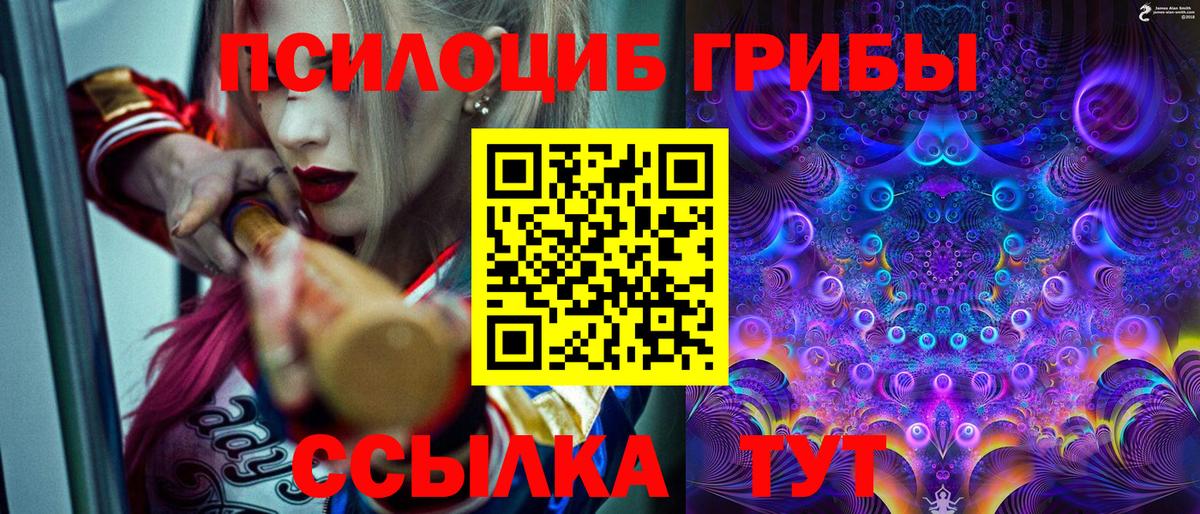 Владимир  Галлюциногенные грибы Magic Shrooms  Вход с VPN 